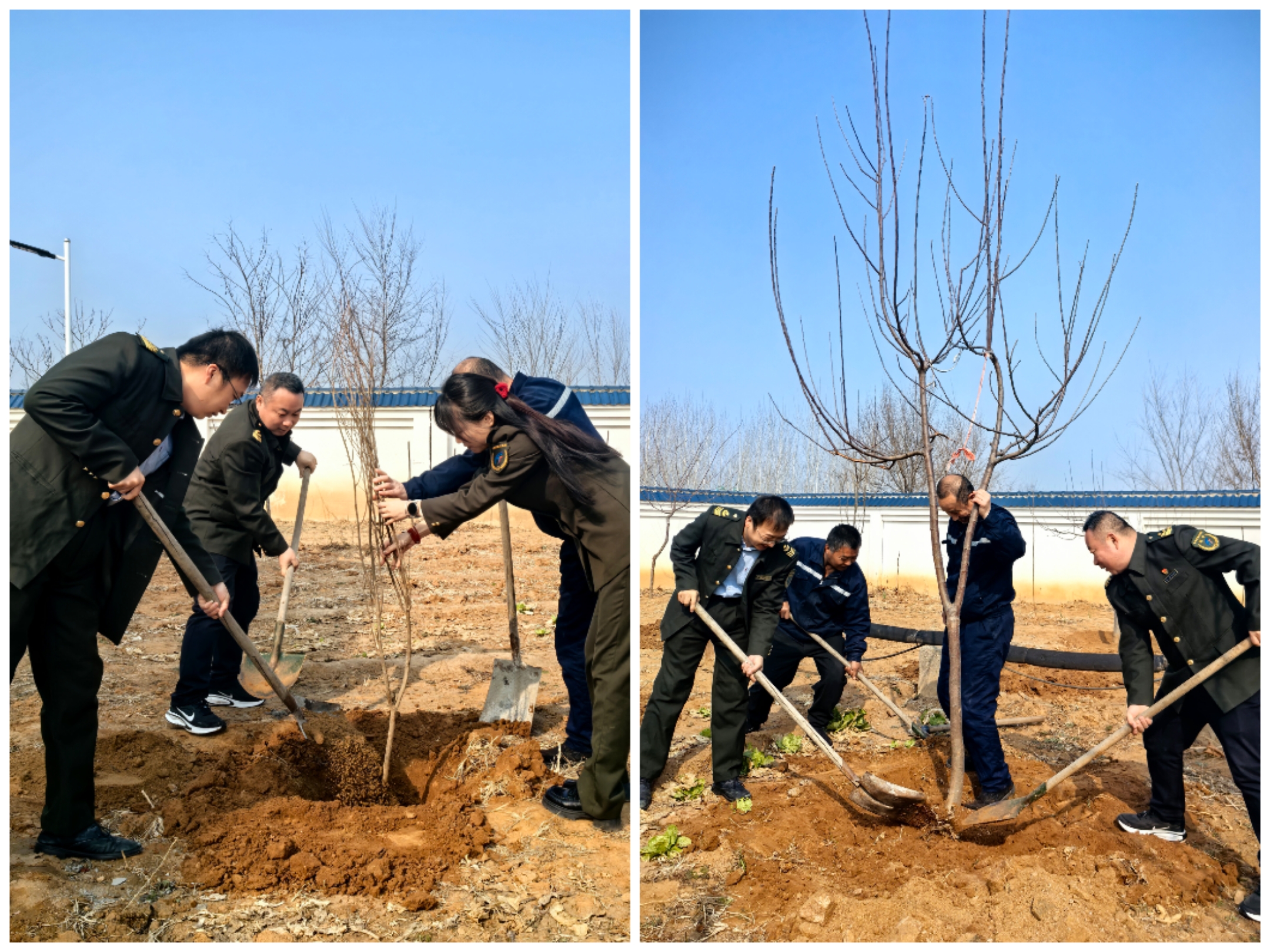 大道向绿 爱游戏平台在行动——内丘北收费站植树节添新景 (2).jpg