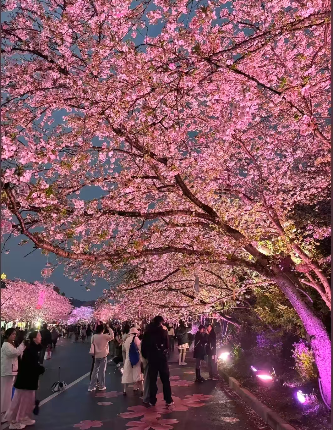 9d366b84e9c9e817d606dec7b4863b73.jpg 9d366b84e9c9e817d606dec7b4863b73.jpg